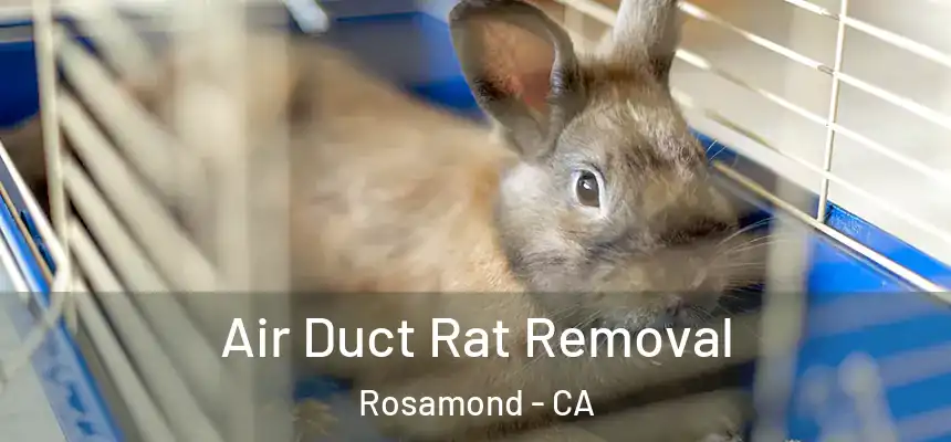  Air Duct Rat Removal Rosamond - CA