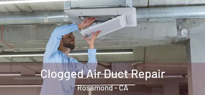  Clogged Air Duct Repair Rosamond - CA