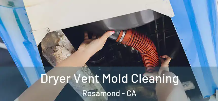  Dryer Vent Mold Cleaning Rosamond - CA