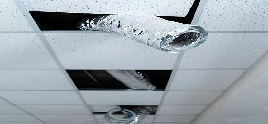 Affordable HVAC Sanitizing After Pest Removal in Rosamond