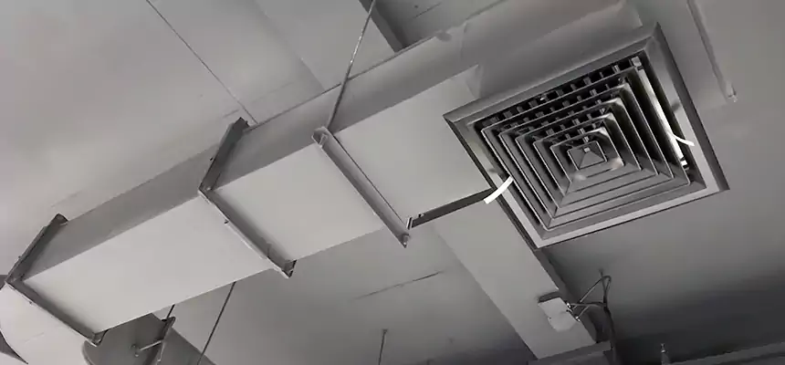 Restorative Allergy Relief Vent Cleaning – Coil, Blower & Housing Detail in Rosamond