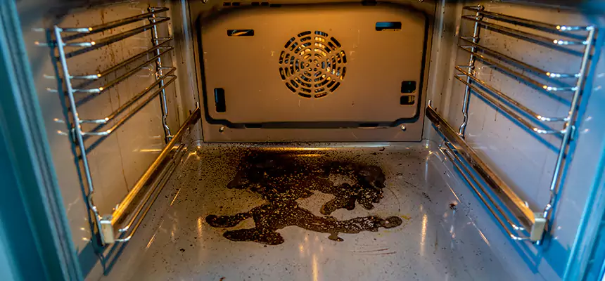 Our Dryer Vent Mold Cleaning Services in Rosamond, CA