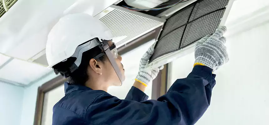 Our Mold & Mildew Removal from Air Ducts Services in Rosamond, CA