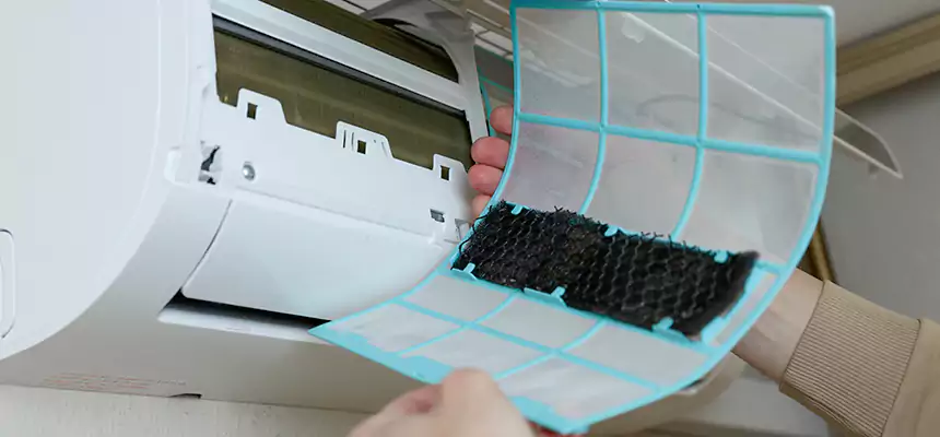 Gentle Ductwork Odor-Control Pet Dander Duct Cleaning in Rosamond, CA