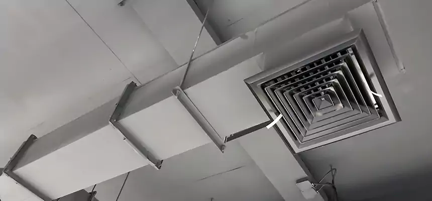 Our Rodent Droppings In Vents Services in Rosamond, CA