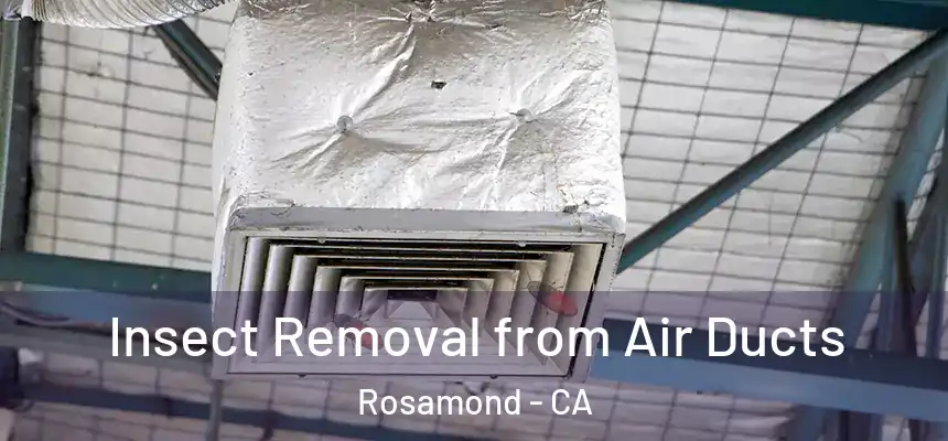  Insect Removal from Air Ducts Rosamond - CA