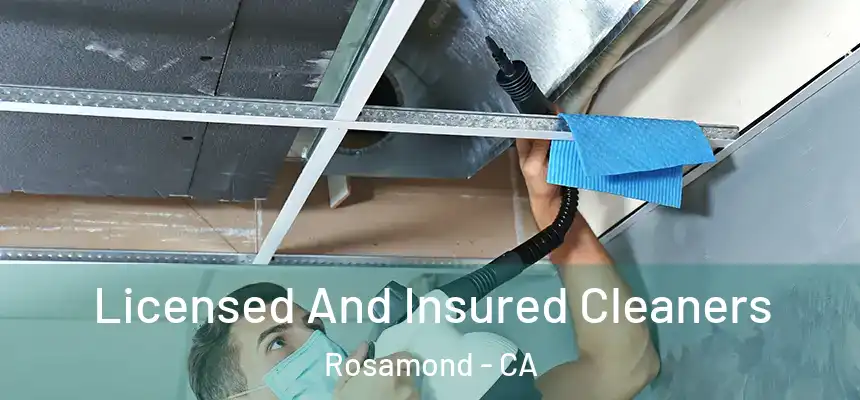  Licensed And Insured Cleaners Rosamond - CA