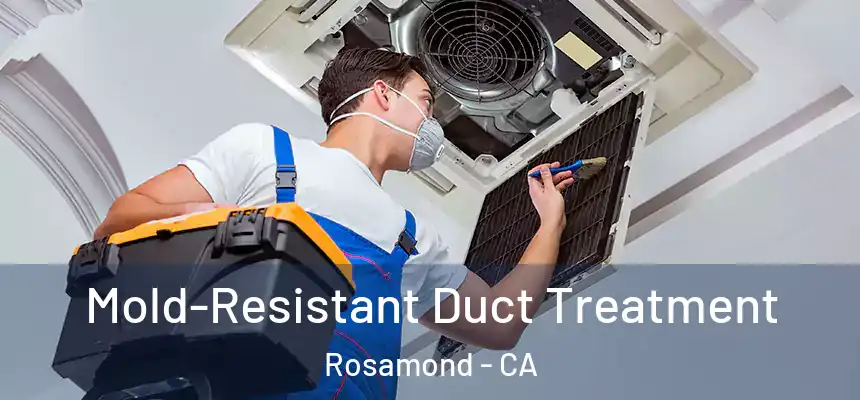  Mold-Resistant Duct Treatment Rosamond - CA