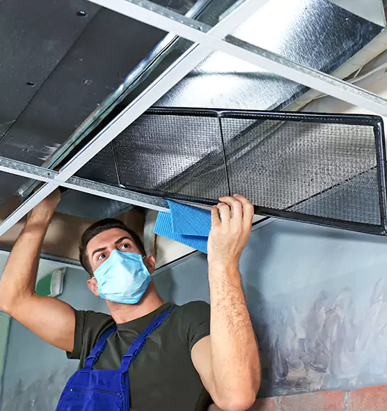 Professional Air Duct Pollen Cleaning in Rosamond, CA