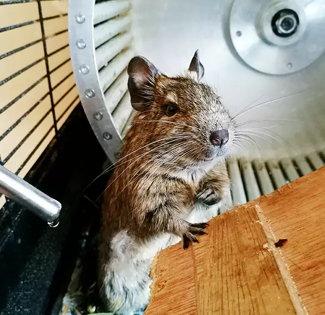 Why Homeowners & Businesses Trust Us Rosamond, CA