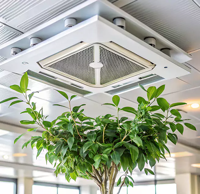 Why Homeowners & Businesses Trust Us in Rosamond, CA