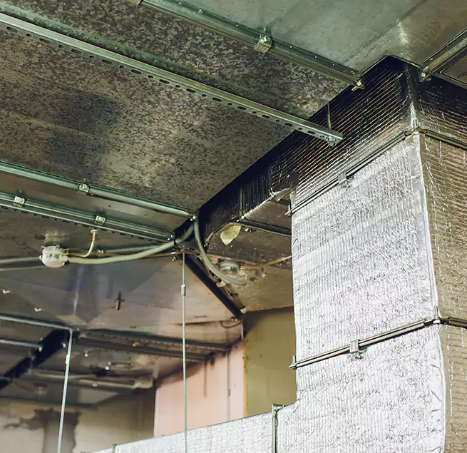 Why Homeowners & Businesses Trust Us in Rosamond, CA?